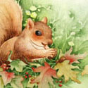 Happy Squirrel, 2012   Watercolor