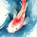 Koi, 2024, Watercolor